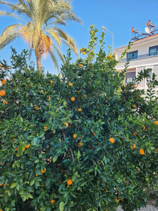 Excellent 3 Storey Villa With A Swimming Pool Belek Eksteriør bilde
